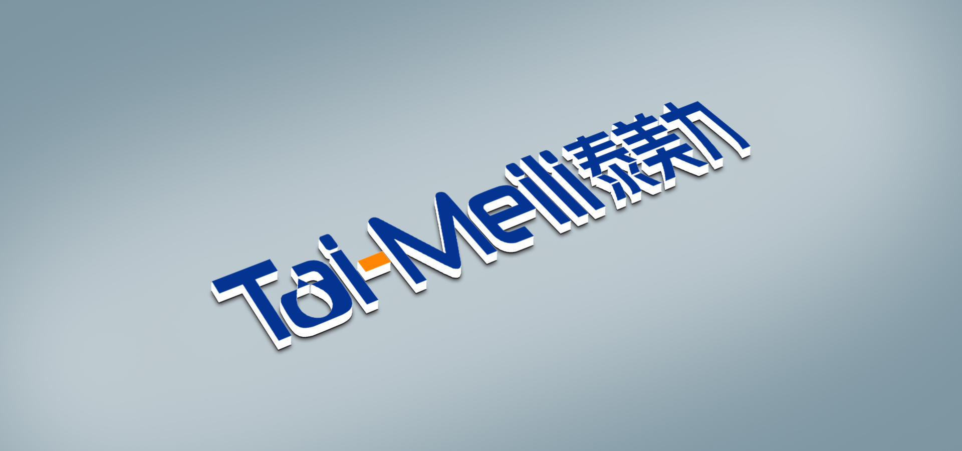 泰美麗LOGO海報(bào)-立體