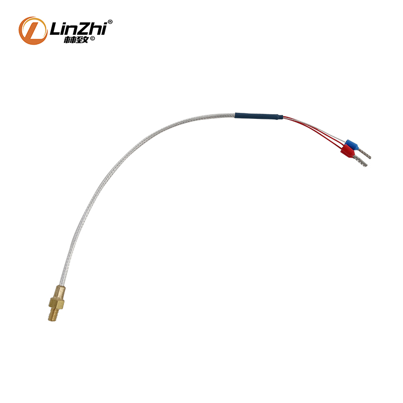 10-固定螺紋熱電阻PT100